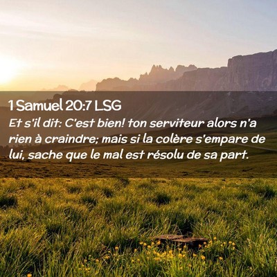Picture 02 - 1 Samuel 20:7 LSG - Et s'il dit: C'est bien! ton serviteur alors n'a - Bible Verse Picture