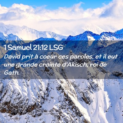 Picture 02 - 1 Samuel 21:12 LSG - David prit à coeur ces paroles, et il eut une - Bible Verse Picture
