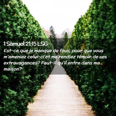 Picture 02 - 1 Samuel 21:15 LSG - Est-ce que je manque de fous, pour que vous - Bible Verse Picture
