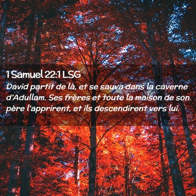 Picture 02 - 1 Samuel 22:1 LSG - David partit de là, et se sauva dans la caverne - Bible Verse Picture