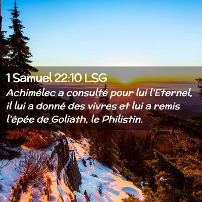 Picture 02 - 1 Samuel 22:10 LSG - Achimélec a consulté pour lui l'Eternel, il lui - Bible Verse Picture