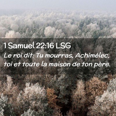 Picture 02 - 1 Samuel 22:16 LSG - Le roi dit: Tu mourras, Achimélec, toi et toute - Bible Verse Picture