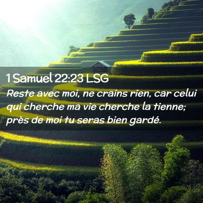 Picture 02 - 1 Samuel 22:23 LSG - Reste avec moi, ne crains rien, car celui qui - Bible Verse Picture