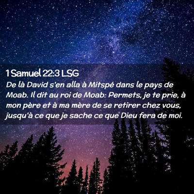 Picture 02 - 1 Samuel 22:3 LSG - De là David s'en alla à Mitspé dans le pays de - Bible Verse Picture