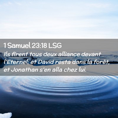 Picture 02 - 1 Samuel 23:18 LSG - Ils firent tous deux alliance devant l'Eternel; - Bible Verse Picture