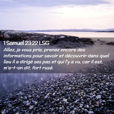 Picture 02 - 1 Samuel 23:22 LSG - Allez, je vous prie, prenez encore des - Bible Verse Picture
