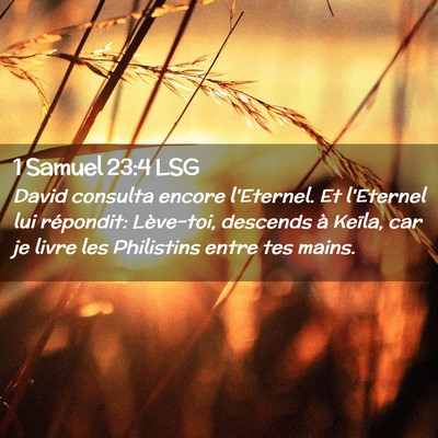 Picture 02 - 1 Samuel 23:4 LSG - David consulta encore l'Eternel. Et l'Eternel lui - Bible Verse Picture