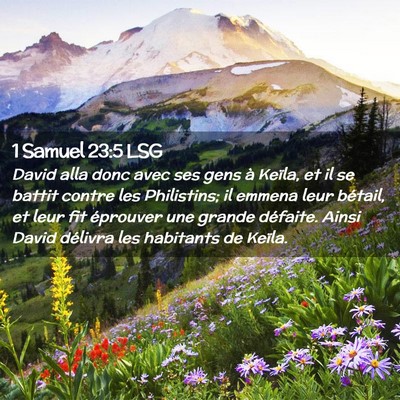 Picture 02 - 1 Samuel 23:5 LSG - David alla donc avec ses gens à Keïla, et il se - Bible Verse Picture