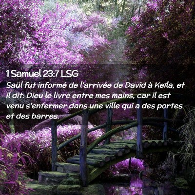 Picture 02 - 1 Samuel 23:7 LSG - Saül fut informé de l'arrivée de David à - Bible Verse Picture