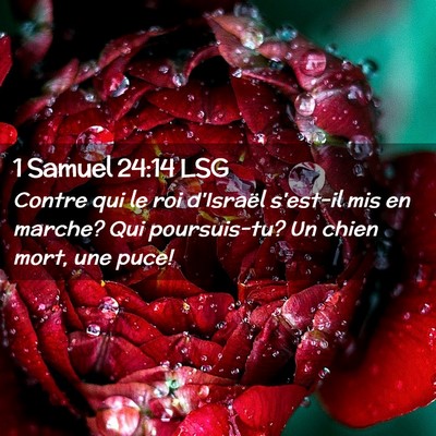Picture 02 - 1 Samuel 24:14 LSG - Contre qui le roi d'Israël s'est-il mis en - Bible Verse Picture