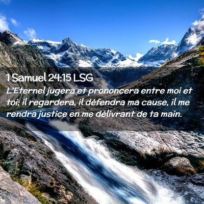 Picture 02 - 1 Samuel 24:15 LSG - L'Eternel jugera et prononcera entre moi et toi; - Bible Verse Picture