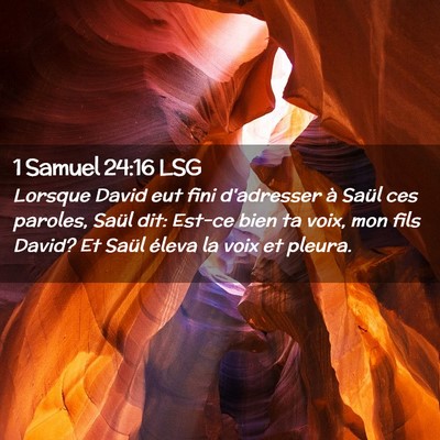 Picture 02 - 1 Samuel 24:16 LSG - Lorsque David eut fini d'adresser à Saül ces - Bible Verse Picture