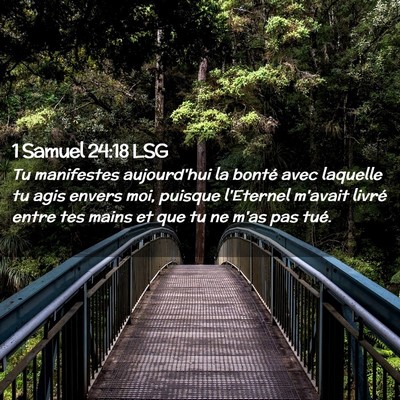 Picture 02 - 1 Samuel 24:18 LSG - Tu manifestes aujourd'hui la bonté avec laquelle - Bible Verse Picture