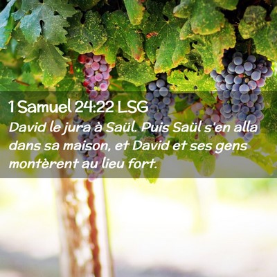 Picture 02 - 1 Samuel 24:22 LSG - David le jura à Saül. Puis Saül s'en alla dans - Bible Verse Picture