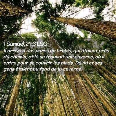 Picture 02 - 1 Samuel 24:3 LSG - Il arriva à des parcs de brebis, qui étaient - Bible Verse Picture