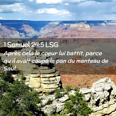 Picture 02 - 1 Samuel 24:5 LSG - Après cela le coeur lui battit, parce qu'il - Bible Verse Picture