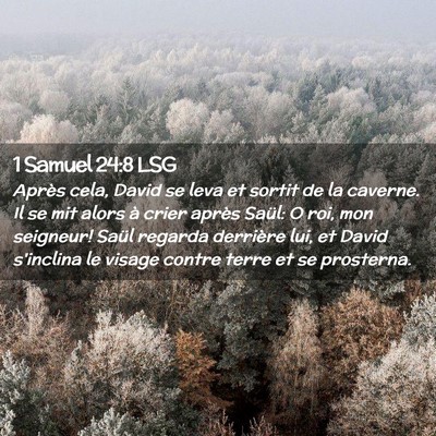 Picture 02 - 1 Samuel 24:8 LSG - Après cela, David se leva et sortit de la - Bible Verse Picture