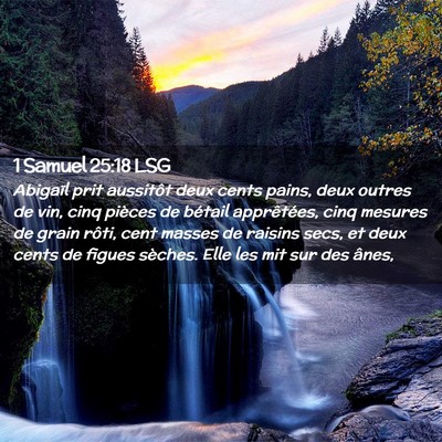 Picture 02 - 1 Samuel 25:18 LSG - Abigaïl prit aussitôt deux cents pains, deux - Bible Verse Picture