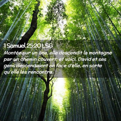 Picture 02 - 1 Samuel 25:20 LSG - Montée sur un âne, elle descendit la montagne - Bible Verse Picture
