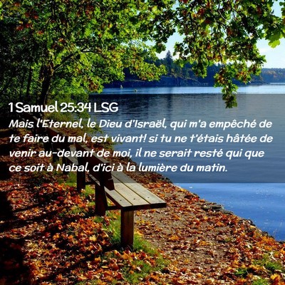 Picture 02 - 1 Samuel 25:34 LSG - Mais l'Eternel, le Dieu d'Israël, qui m'a - Bible Verse Picture