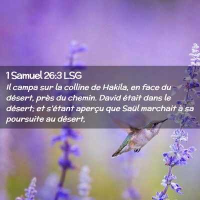 Picture 02 - 1 Samuel 26:3 LSG - Il campa sur la colline de Hakila, en face du - Bible Verse Picture