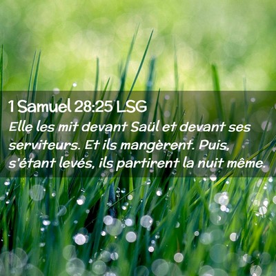 Picture 02 - 1 Samuel 28:25 LSG - Elle les mit devant Saül et devant ses - Bible Verse Picture