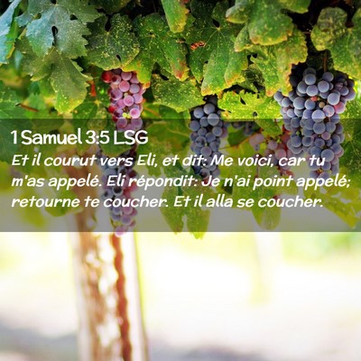 Picture 02 - 1 Samuel 3:5 LSG - Et il courut vers Eli, et dit: Me voici, car tu - Bible Verse Picture