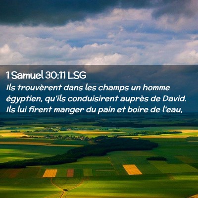 Picture 02 - 1 Samuel 30:11 LSG - Ils trouvèrent dans les champs un homme - Bible Verse Picture