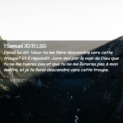 Picture 02 - 1 Samuel 30:15 LSG - David lui dit: Veux-tu me faire descendre vers - Bible Verse Picture