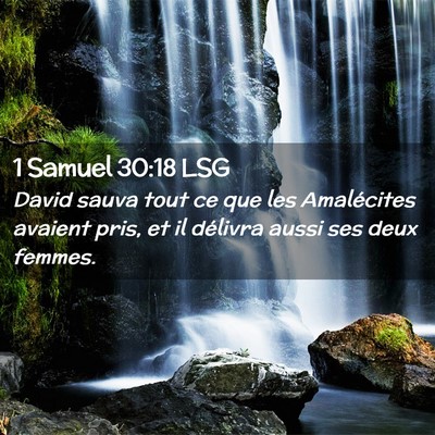 Picture 02 - 1 Samuel 30:18 LSG - David sauva tout ce que les Amalécites avaient - Bible Verse Picture