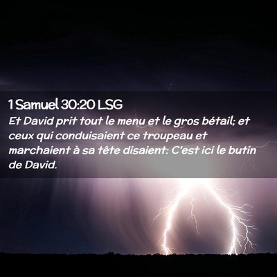 Picture 02 - 1 Samuel 30:20 LSG - Et David prit tout le menu et le gros bétail; et - Bible Verse Picture