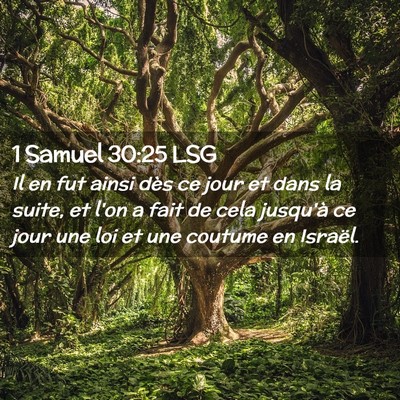 Picture 02 - 1 Samuel 30:25 LSG - Il en fut ainsi dès ce jour et dans la suite, et - Bible Verse Picture