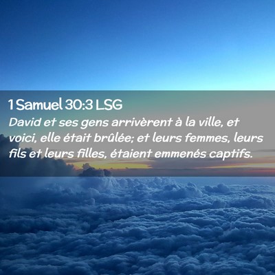 Picture 02 - 1 Samuel 30:3 LSG - David et ses gens arrivèrent à la ville, et - Bible Verse Picture