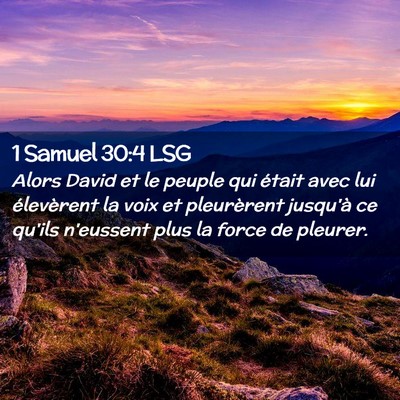 Picture 02 - 1 Samuel 30:4 LSG - Alors David et le peuple qui était avec lui - Bible Verse Picture