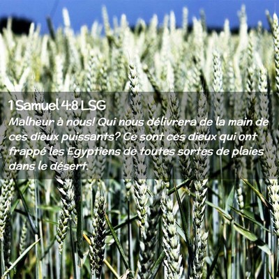Picture 02 - 1 Samuel 4:8 LSG - Malheur à nous! Qui nous délivrera de la main - Bible Verse Picture