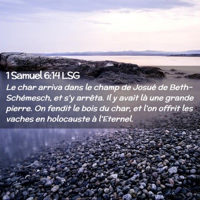 Picture 02 - 1 Samuel 6:14 LSG - Le char arriva dans le champ de Josué de - Bible Verse Picture