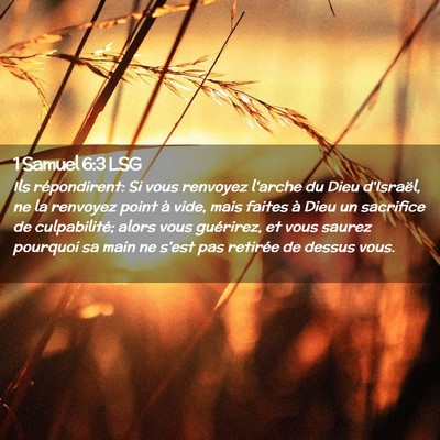 Picture 02 - 1 Samuel 6:3 LSG - Ils répondirent: Si vous renvoyez l'arche du - Bible Verse Picture