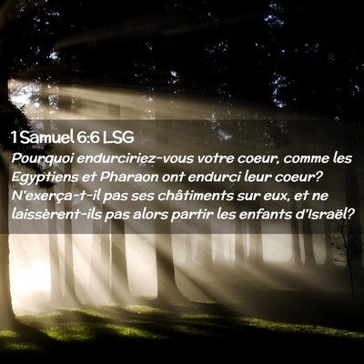 Picture 02 - 1 Samuel 6:6 LSG - Pourquoi endurciriez-vous votre coeur, comme les - Bible Verse Picture