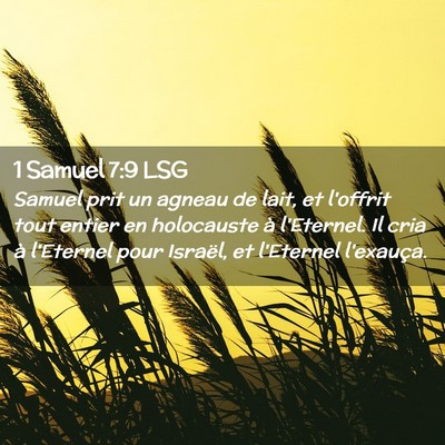 Picture 02 - 1 Samuel 7:9 LSG - Samuel prit un agneau de lait, et l'offrit tout - Bible Verse Picture