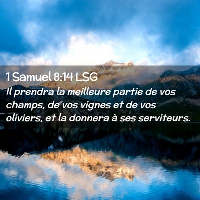 Picture 02 - 1 Samuel 8:14 LSG - Il prendra la meilleure partie de vos champs, de - Bible Verse Picture