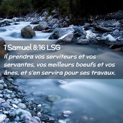 Picture 02 - 1 Samuel 8:16 LSG - Il prendra vos serviteurs et vos servantes, vos - Bible Verse Picture