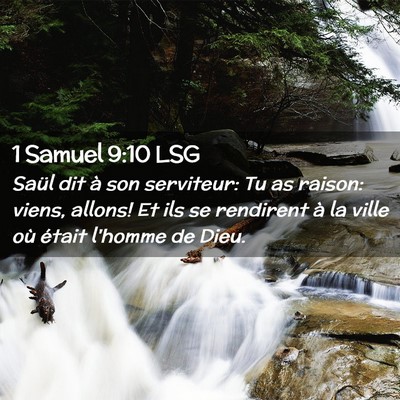 Picture 02 - 1 Samuel 9:10 LSG - Saül dit à son serviteur: Tu as raison: viens, - Bible Verse Picture
