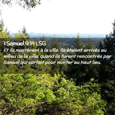 Picture 02 - 1 Samuel 9:14 LSG - Et ils montèrent à la ville. Ils étaient - Bible Verse Picture