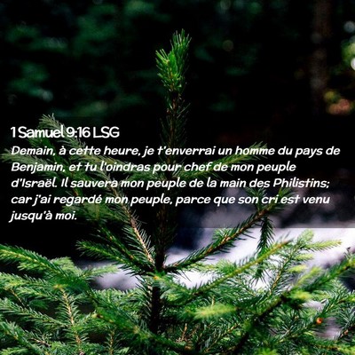 Picture 02 - 1 Samuel 9:16 LSG - Demain, à cette heure, je t'enverrai un homme du - Bible Verse Picture