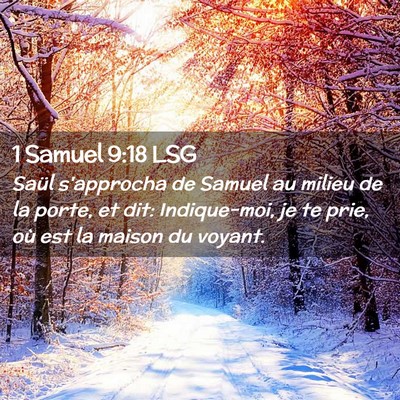 Picture 02 - 1 Samuel 9:18 LSG - Saül s'approcha de Samuel au milieu de la porte, - Bible Verse Picture