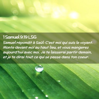 Picture 02 - 1 Samuel 9:19 LSG - Samuel répondit à Saül: C'est moi qui suis le - Bible Verse Picture