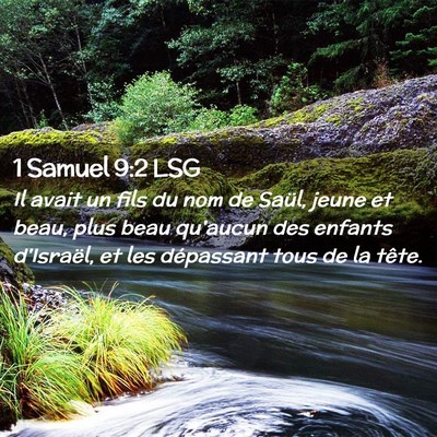 Picture 02 - 1 Samuel 9:2 LSG - Il avait un fils du nom de Saül, jeune et beau, - Bible Verse Picture