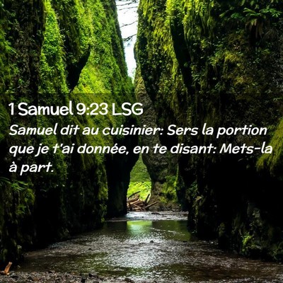 Picture 02 - 1 Samuel 9:23 LSG - Samuel dit au cuisinier: Sers la portion que je - Bible Verse Picture