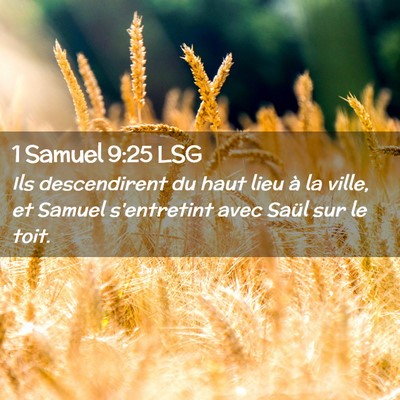 Picture 02 - 1 Samuel 9:25 LSG - Ils descendirent du haut lieu à la ville, et - Bible Verse Picture