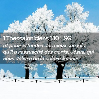 Picture 02 - 1 Thessaloniciens 1:10 LSG - et pour attendre des cieux son Fils, qu'il a - Bible Verse Picture